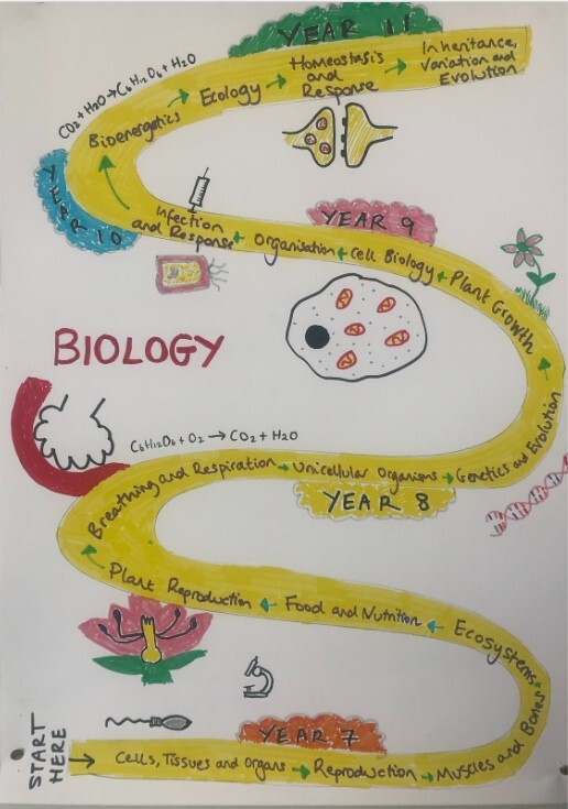 Biology ks3 snake